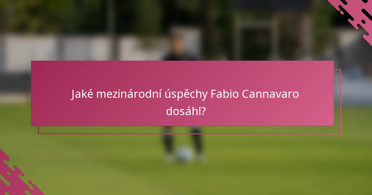 Jaké mezinárodní úspěchy Fabio Cannavaro dosáhl?